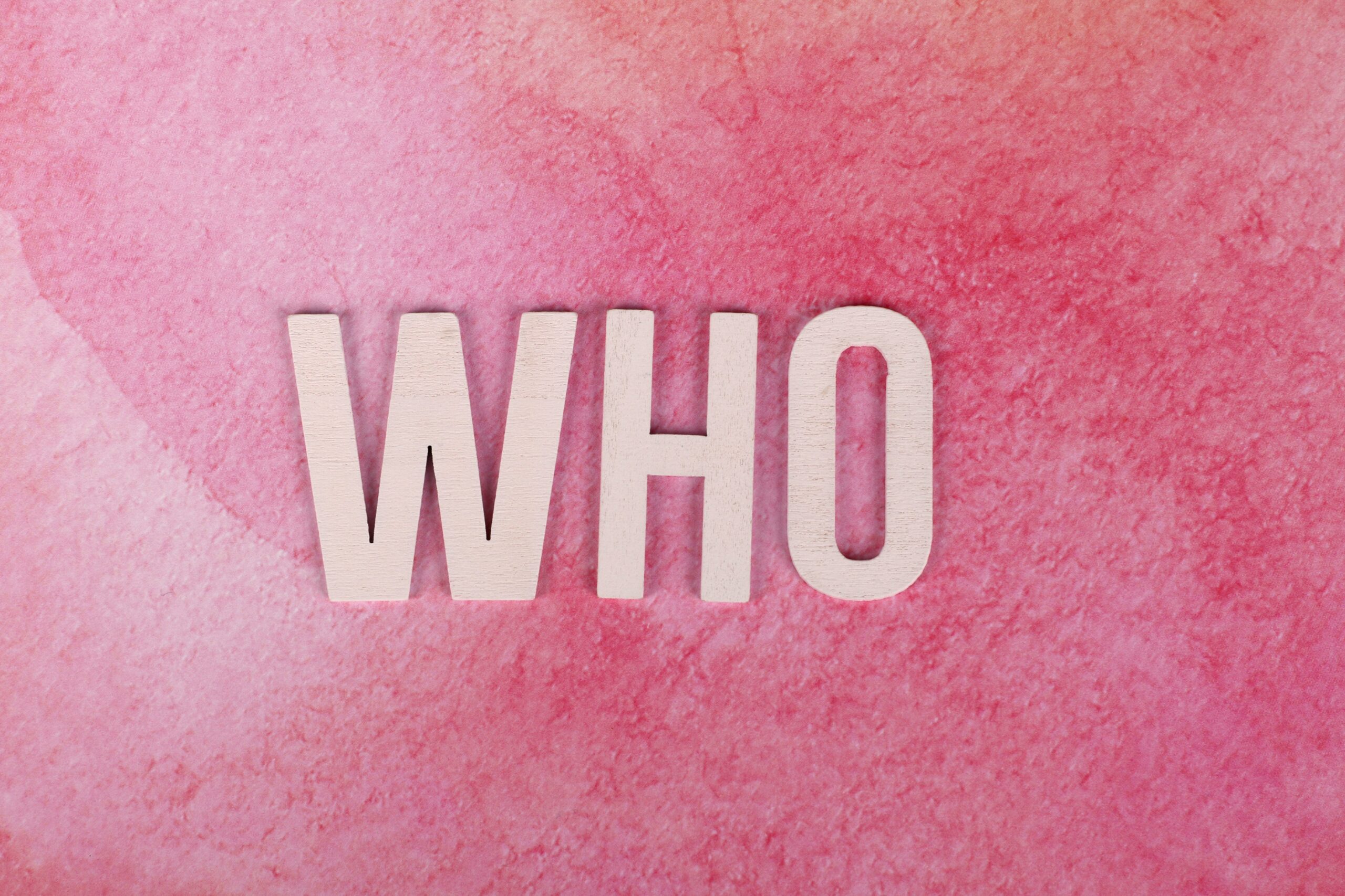 questions with 'who' in Hindi